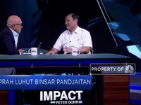 Cerita Bisnis Luhut Binsar Pandjaitan dan Joko Widodo