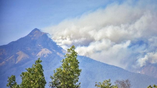 Hutan Terbakar Pendakian Gunung Rinjani Ditutup