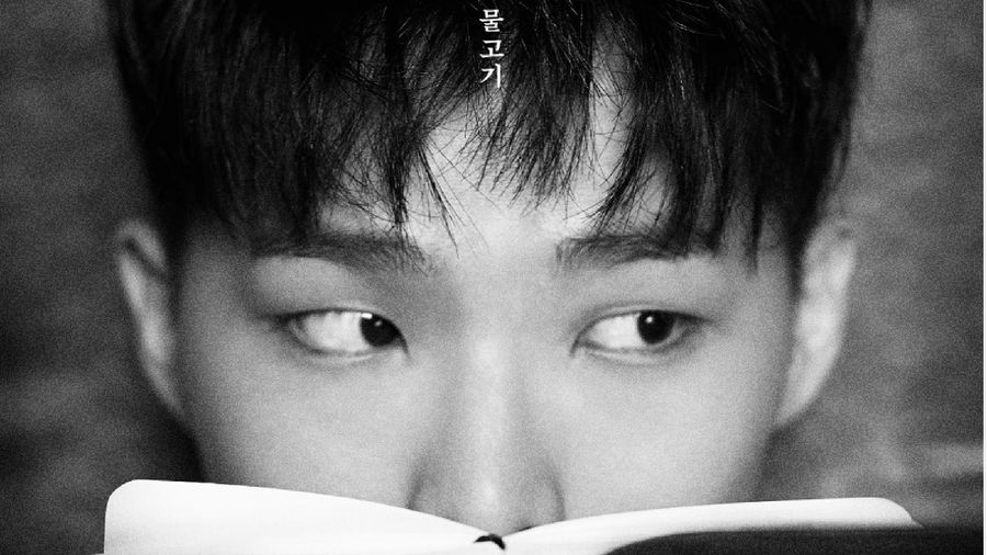 Musisi dan member AKMU Lee Chan Hyuk baru saja debut jadi novelis. Dahsyatnya, bukunya langsung masuk daftar terlaris di Korea Selatan 
