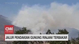 VIDEO: Jalur Pendakian Gunung Rinjani Terbakar