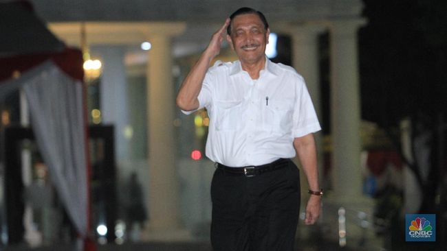 Luhut: Hari ini Jokowi Putuskan Darurat Sipil Covid-19 - CNBC Indonesia
