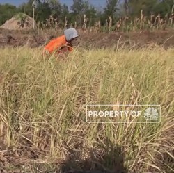 Cuaca Ekstrim Landa Indonesia