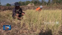 Cuaca Ekstrim Landa Indonesia