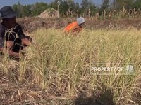 Cuaca Ekstrim Landa Indonesia