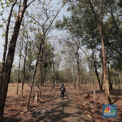20 Kota Terpanas di Indonesia, No. 1 Nyaris Tembus 40 Celcius