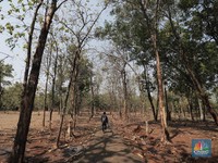 20 Kota Terpanas di Indonesia, No. 1 Nyaris Tembus 40 Celcius