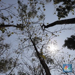 10 Wilayah Indonesia Paling Panas Mendidih, Suhu Nyaris 39 C