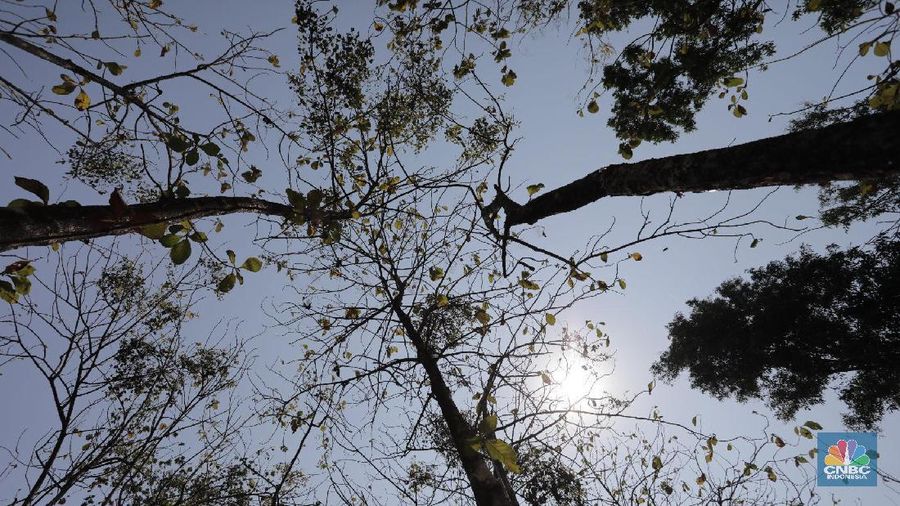Warga melintas di Kawasan Senayan, Jakarta, Selasa (22/10/2019). Menurut BMKG, suhu panas yang terjadi di pulau Jawa hingga Nusa Tenggara dan sekitarnya berasal dari gerak semu matahari yang dominan terjadi di selatan Khatulistiwa sehingga menyebabkan radiasi matahari yang diterima oleh permukaan bumi lebih banyak. (CNBC Indonesia/Andrean Kristianto)