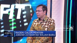 Ekonom: Wajah Baru Kabinet Jokowi Bisa Dorong Perubahan
