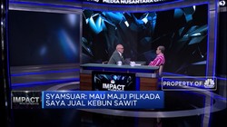 Gubernur Riau Jual Kebun Sawit Untuk Biaya Kampanye