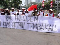 Gelar Aksi Tolak Kenaikan Cukai, Ini Tuntutan Petani Tembakau