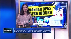 Simak! Lowongan CPNS Segera Dibuka