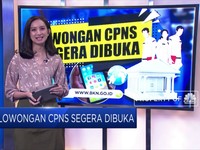 Simak! Lowongan CPNS Segera Dibuka