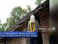 Siap-Siap! Indo Tambangraya akan Bagikan Dividen