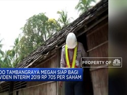 Siap-Siap! Indo Tambangraya akan Bagikan Dividen
