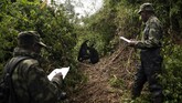 Kedua pelacak gorila tengah mengamati dua gorila dari kelompok Agasha saat mereka bermain di Taman Nasional Volcanoes, Rwanda. (AP Photo/Felipe Dana)