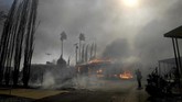 Petugas pemadam kebakaran menyatakan bahwa api pertama kali menyala di dekat Santa Clarita, sekitar 65 kilometer dari Los Angeles. (Jennifer Cappuccio Maher/The Orange County Register/SCNG via AP)