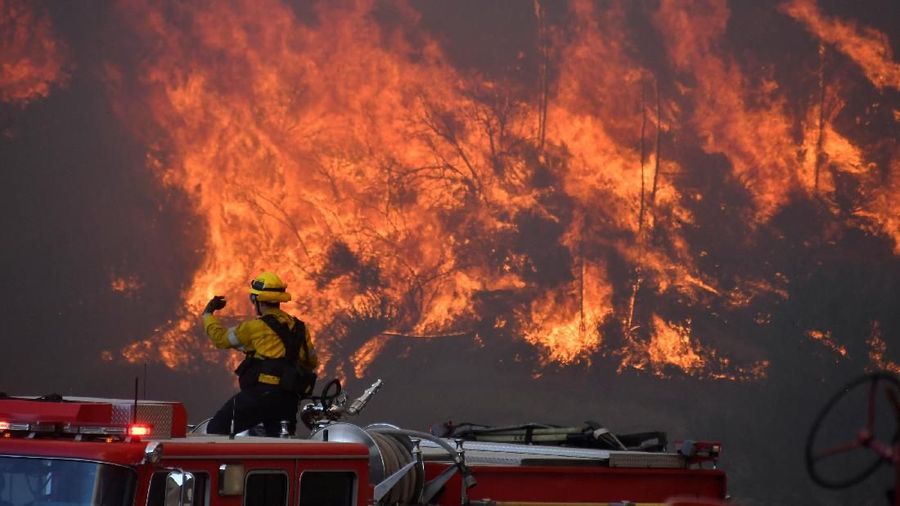 Ribuan orang dievakuasi secepatnya karena kebakaran hutan yang terjadi dari Rabu (23/10/19) malam.