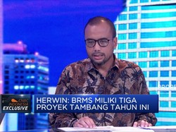 BRMS Targetkan Produksi 100 Ribu Ton Bijih Emas di Poboya