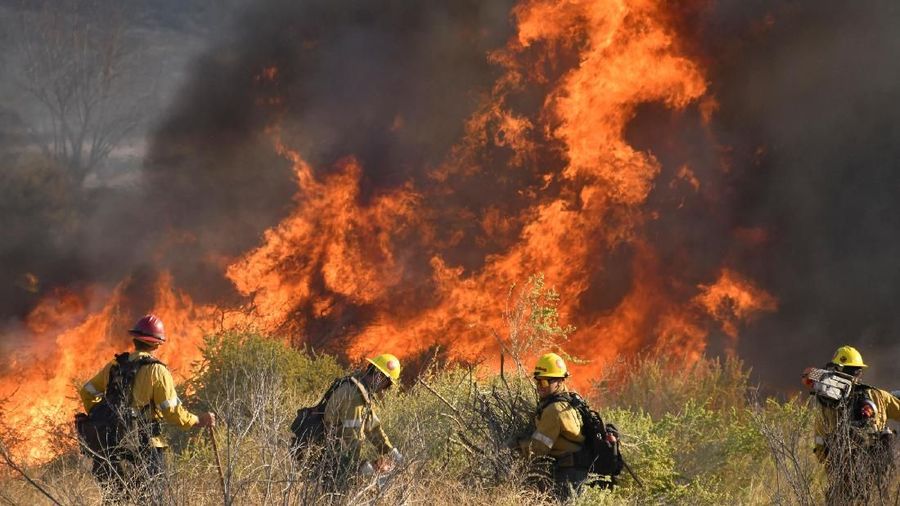 Ribuan orang dievakuasi secepatnya karena kebakaran hutan yang terjadi dari Rabu (23/10/19) malam.