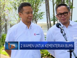 2 Wakil Menteri Untuk Kementerian BUMN