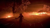 Si jago merah dengan cepat merembet hingga menghanguskan 2.023 hektar lahan di sekitar Santa Clarita. (Kent Porter/The Press Democrat via AP)