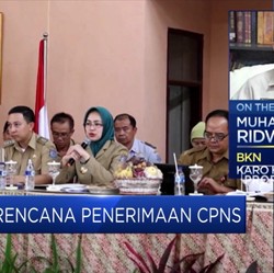 Siap-siap, Lowongan CPNS Dimulai Akhir Oktober 2019
