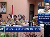 Siap-siap, Lowongan CPNS Dimulai Akhir Oktober 2019