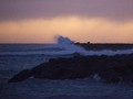 Kontes Surfing Terlalu Sering, Warga Hawaii Mengeluh