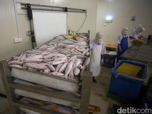 Peluang Cuan dari Bisnis Gudang Beku Ikan, KKP Siap Dampingi
