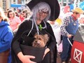 VIDEO: Ratusan Anjing di Boston Ikut 'Rayakan' Halloween