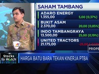Menilik Kinerja Saham PTBA Pasca Rilis Laporan Keuangan Q3