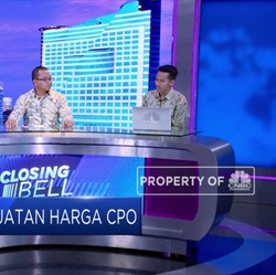 Diproyeksi Supply Sawit Turun & Harga CPO Dikisaran USD 540