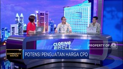 Diproyeksi Supply Sawit Turun & Harga CPO Dikisaran USD 540