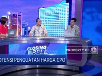 Diproyeksi Supply Sawit Turun & Harga CPO Dikisaran USD 540