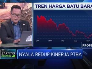 Menakar Kinerja PTBA di Tengah Peningkatan Beban Pendapatan