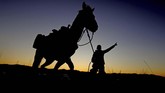 Pengendara kuda menyiapkan tunggangannya menjelang acara pengumpulan bison di Pulau Antelope, Utah, Amerika Serikat pada Sabtu (26/10). (AP Photo/Rick Bowmer)