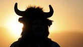 Pengumpulan bison diharapkan bisa