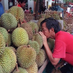 6 Khasiat Kesehatan dari Durian, Asal Tak Dimakan Bareng Ini