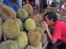 Gara-gara Cuaca Ekstrem, Harga Durian Hingga Mangga 'Remuk'!