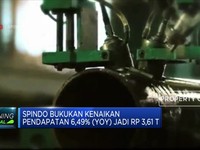 Laba Spindo Naik 696,175% (YoY)