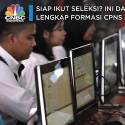 Siap Ikut Seleksi? Ini Daftar Lengkap Formasi CPNS 2019