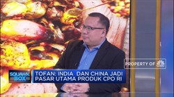 Hitung Peluang Peningkatan Pasar CPO di India