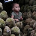 Diam-diam Vietnam Jadi Raja Durian di Dunia, RI Gimana?