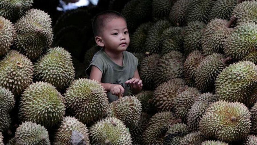 FILE PHOTO: A boy carries a durian fruit at a durian market in Bangkok, Thailand on July 17, 2007. REUTERS/Sukree Sukplang/File Photo