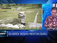 Kelompok Tani: Impor Pangan Terjadi Karena Ada Kesalahan Data