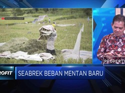Kelompok Tani: Impor Pangan Terjadi Karena Ada Kesalahan Data