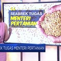 Dear Pak Yasin Limpo, Inilah Daftar PR Menteri Pertanian!