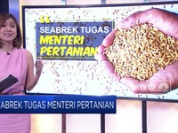 Dear Pak Yasin Limpo, Inilah Daftar PR Menteri Pertanian!