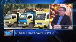 GAPKI Ungkap Tantangan Pasar Ekspor CPO Indonesia